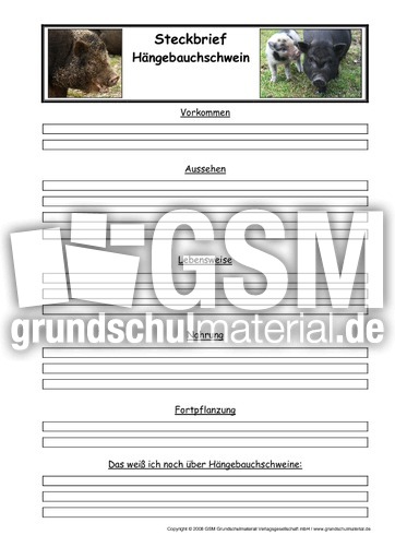 Hängebauchschwein-Steckbriefvorlage.pdf